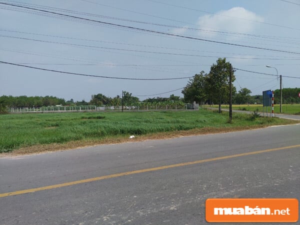 Cần thận khi mua