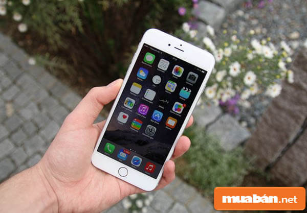 Những Lý Do Bạn Nên Hay Không Nên Mua Iphone 6S Plus 64Gb 5 Iphone 6S Plus 64Gb