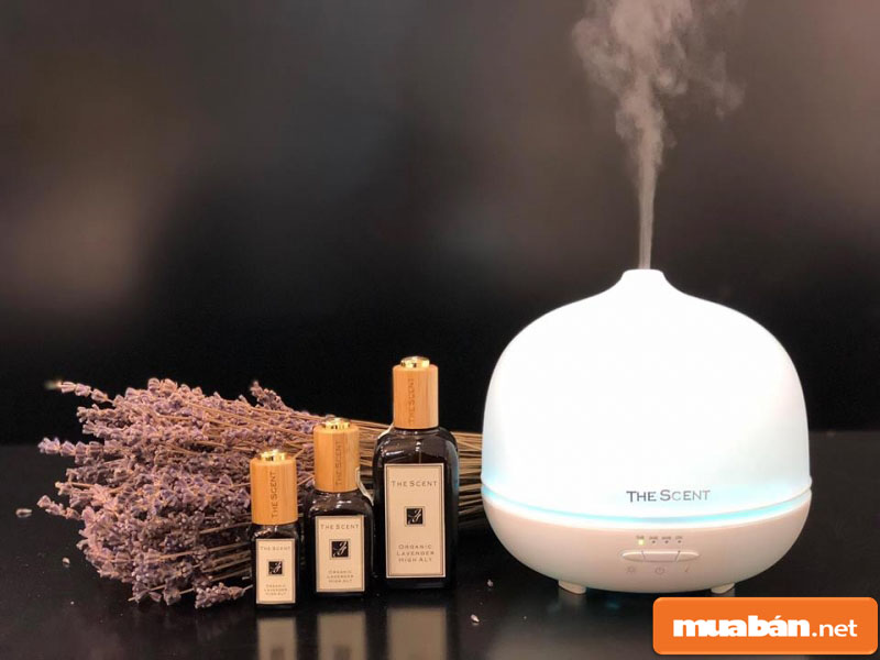 Máy Khuếch Tán Tinh Dầu – Thiết Bị Cần Thiết Trong Mỗi Gia Đình 2 Máy Khuếch Tán Tinh Dầu