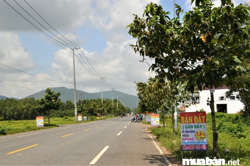 Thị xã Phú Mỹ