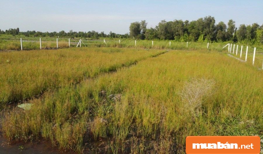 Bán đất Củ Chi giá rẻ