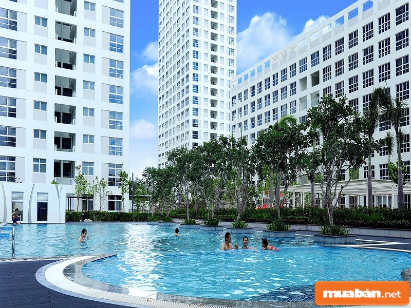 Hồ bơi và nhà cao tầng