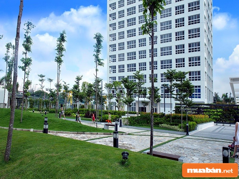 ảnh chụp công viên dự án