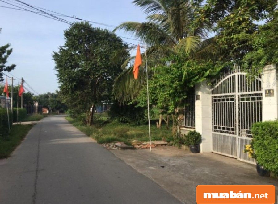 Nếu bạn không có kinh nghiệm về phong thủy, bạn có thể nhờ những người có kinh nghiệm tư vấn.