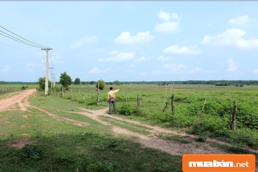 Mua bán nhà đất Củ Chi