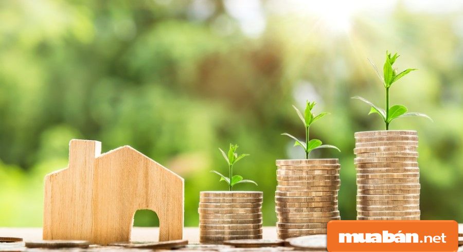 Tìm Nhà Cho Thuê Nguyên Căn Giá Rẻ Với 5 Bí Kíp Dành Cho Sinh Viên 3 Tìm Nhà Cho Thuê Nguyên Căn Giá Rẻ