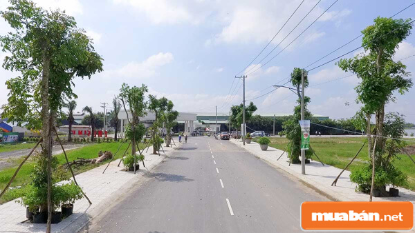 sự tự tin