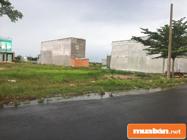 Đất nền giá rẻ Bình Chánh