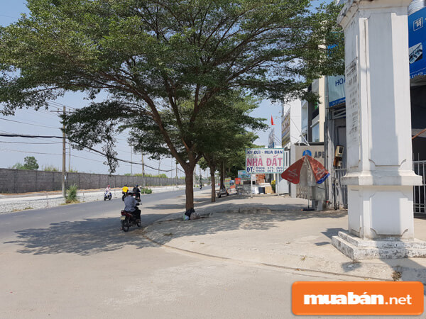 Giá bán đất một số nơi đang dao động mạnh