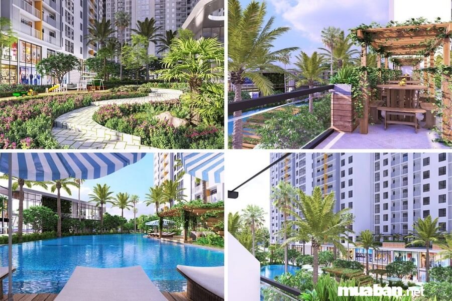 Dự Án Jamila Quận 9 Gây Sốt Nhờ Có 5 Ưu Điểm Này! 8 Jamila Quận 9 Không Chỉ Có Tiện Ích Nội Khu Phong Phú Mà Còn Sở Hữu Hệ Thống Tiện Ích Ngoại Khu Cũng Chẳng Hề Kém Cạnh.