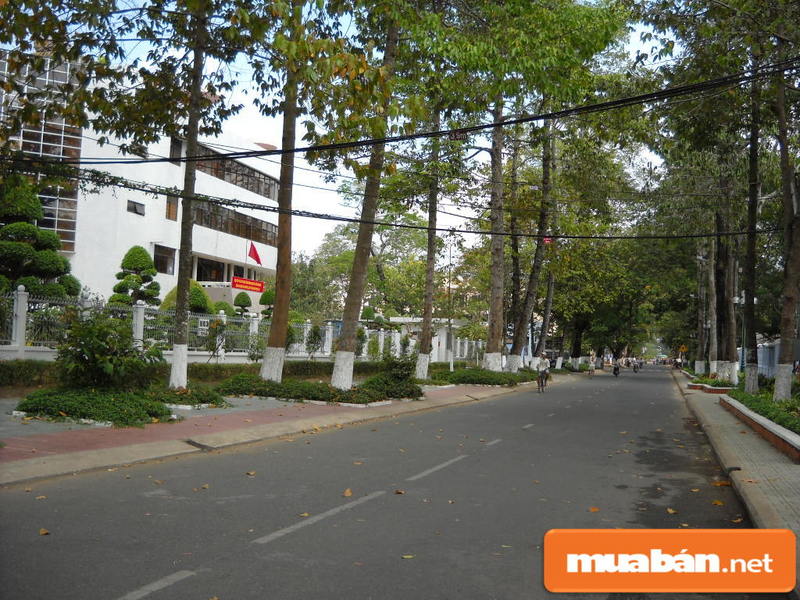 Những Điều Cần Lưu Ý Khi Mua Bán Nhà Đất Trà Vinh 4 Mua Ban Dat Tra Vinh 3 1