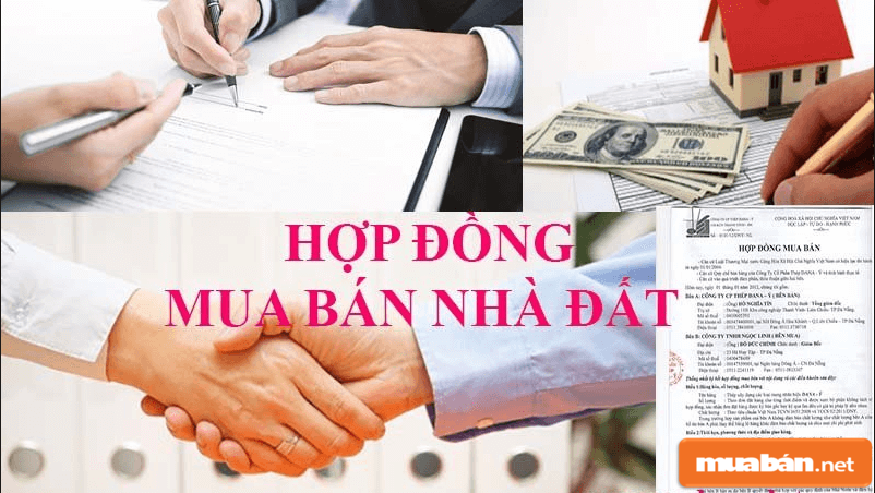 Những Điều Cần Lưu Ý Khi Mua Bán Nhà Đất Trà Vinh 6 Mua Ban Dat Tra Vinh 5 1