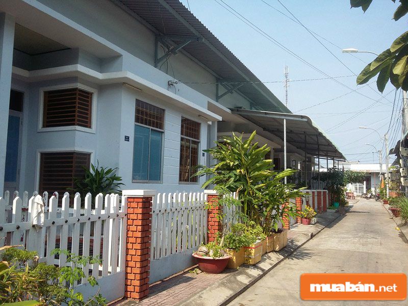 mua bán đất cà mau