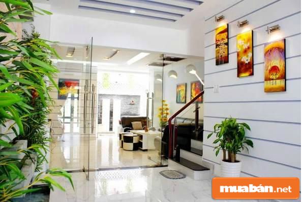 mua bán đất cà mau