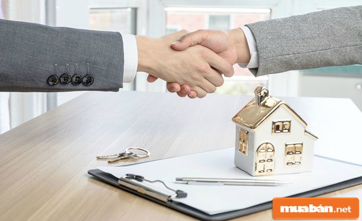 mua bán đất cà mau