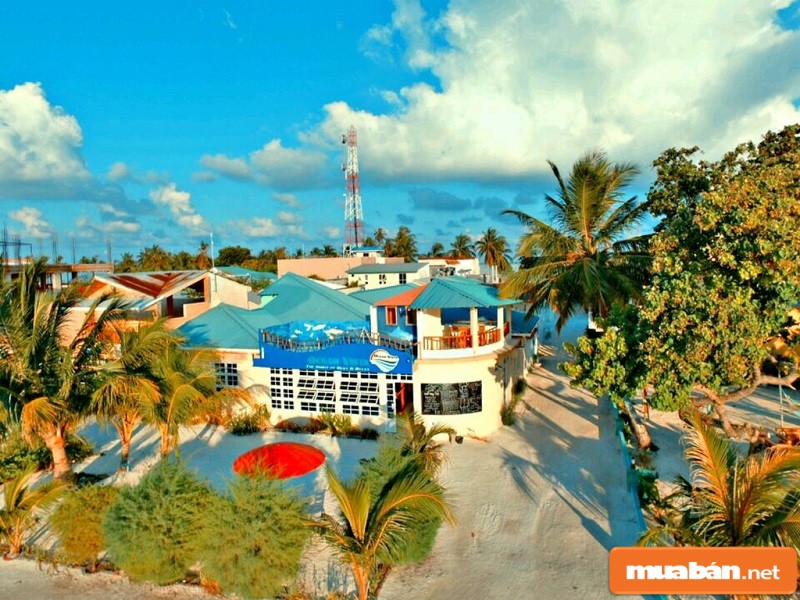 Khung cảnh tuyệt đẹp