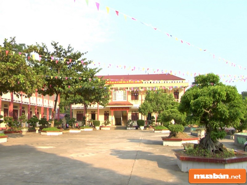 Hệ thống giáo dục nội khu