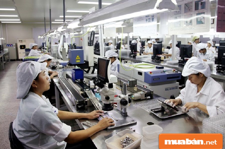 Tìm Việc Làm Lao Động Phổ Thông Tại Tphcm Và Những Điều Cần Biết! 3 Mỗi Công Ty, Doanh Nghiệp Thường Có Mục Đích Sử Dụng Lao Động Phổ Thông Khác Nhau.