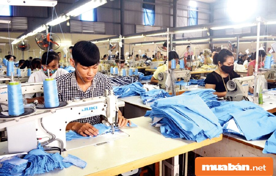 Tìm Việc Làm Lao Động Phổ Thông Tại Tphcm Và Những Điều Cần Biết! 8 Tìm Việc Làm Lao Động Phổ Thông Tại Tphcm