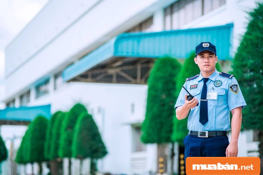 Tìm Việc Làm Lao Động Phổ Thông Tại Tphcm Và Những Điều Cần Biết! 12 Timvieclamlaodongphothongtaitphcm
