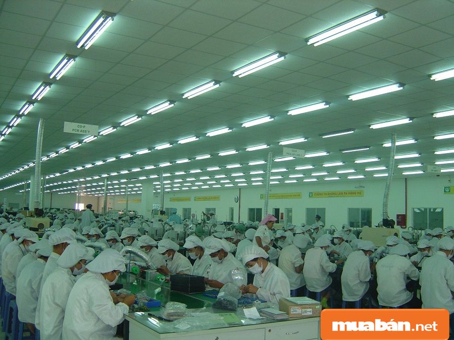 Tìm Việc Làm Lao Động Phổ Thông Tại Tphcm Và Những Điều Cần Biết! 10 Tìm Việc Làm Lao Động Phổ Thông Tại Tphcm