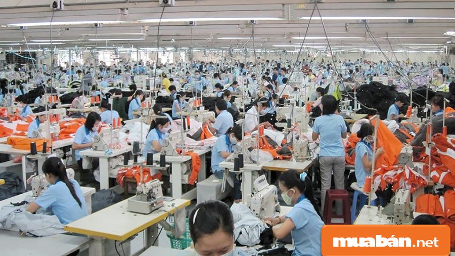 Tìm Việc Làm Lao Động Phổ Thông Tại Tphcm Và Những Điều Cần Biết! 4 Tìm Việc Lao Động Phổ Thông