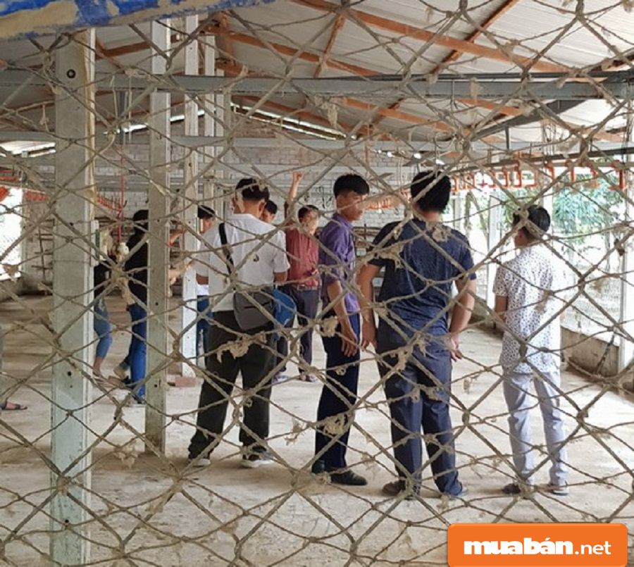 Việc Làm Lai Châu Và Những Tiềm Năng Tạo Đà Cho Sự Phát Triển Kinh Tế! 9 Việc Làm Lai Châu