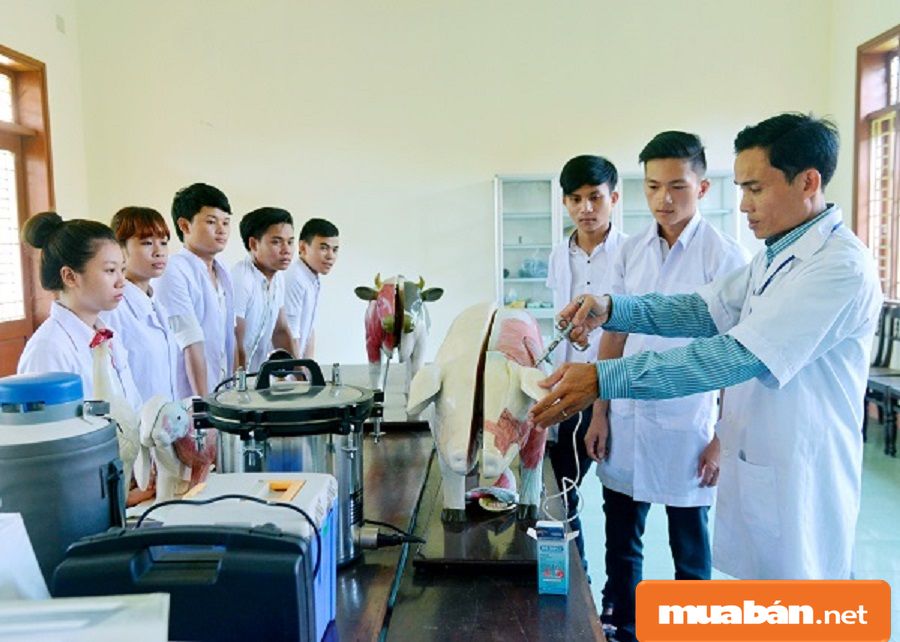 Việc Làm Lai Châu Và Những Tiềm Năng Tạo Đà Cho Sự Phát Triển Kinh Tế! 10 Việc Làm Lai Châu