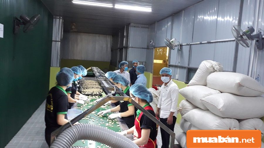 Việc làm Quản Trị