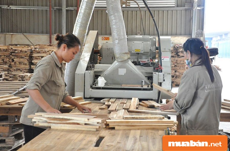 Có nguồn nhiên liệu, diện tích trồng rừng lớn, nên tỉnh có thế mạnh về ngành gỗ.