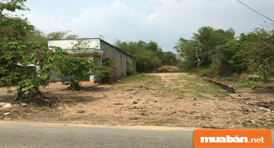 Bán đất Củ Chi chính chủ