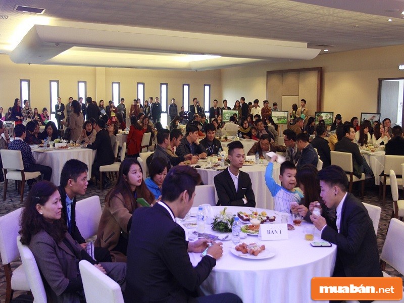 Sunshine Avenue đã khiến nhiều người ngỡ ngàng