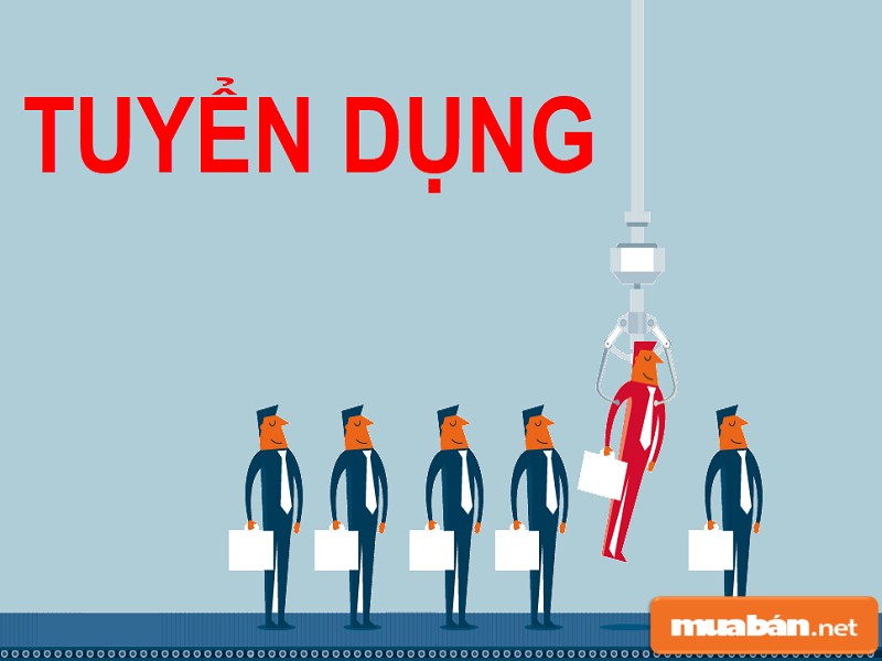 Thu hút nhà tuyển dụng
