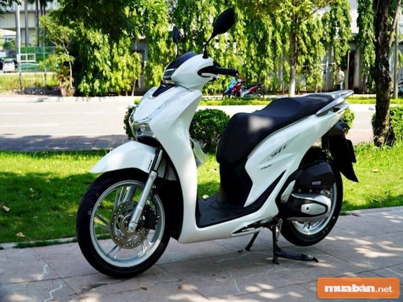 Nouvo Đã Bị “Khai Tử” Như Thế Nào Trên Thị Trường Xe Máy? 7 Mẫu Xe Này Mang Đậm Phong Cách Thể Thao, Tinh Tế Của Thời Đại