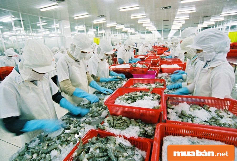 Nha Trang khá phong phú với cơ cầu nghề đa dạng như chế biến thực phẩm...