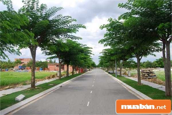 Bán Đất Quận Bình Tân Liệu Có Thật Sự &Quot;Ngon Ăn&Quot; Như Bạn Nghĩ? 7 Bạn Đất Quận Bình Tân