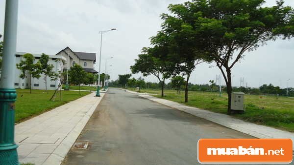 Bán Đất Quận Bình Tân Liệu Có Thật Sự &Quot;Ngon Ăn&Quot; Như Bạn Nghĩ? 8 Bạn Đất Quận Bình Tân