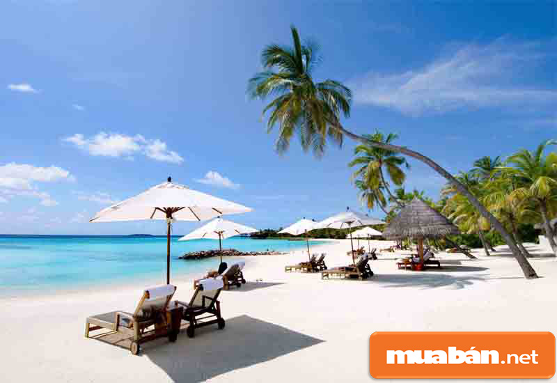 Cơ Hội Việc Làm Tại Nha Trang Trong Ngành Du Lịch Và Kinh Nghiệm Để Xin Việc Dễ Dàng 2 Cơ Hội Việc Làm Tại Nha Trang
