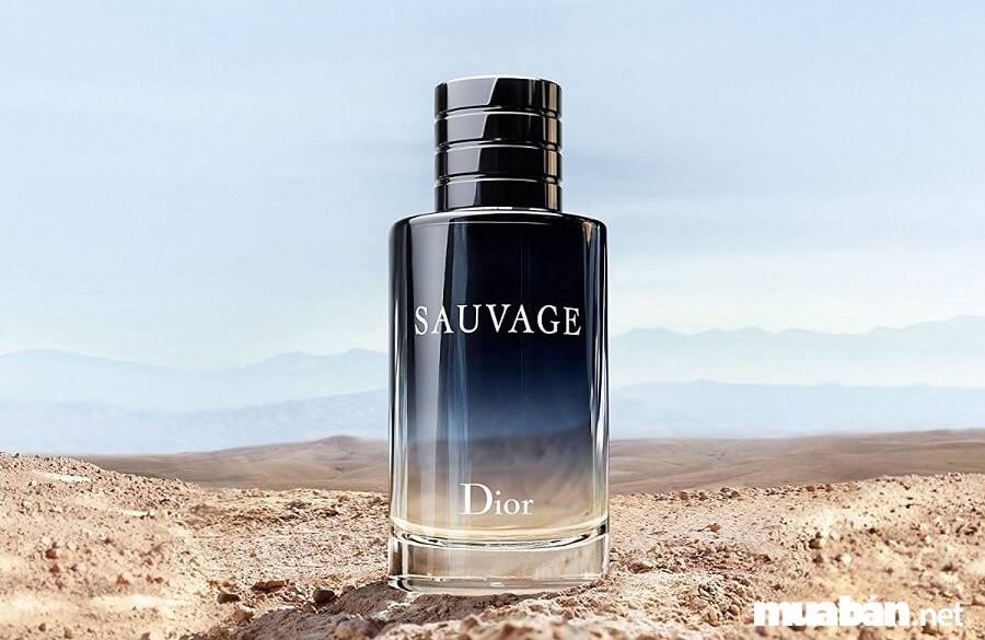Top 10 Chai Nước Hoa Nam Có Mùi Hương Quyến Rũ Nhất 16 Dior Sauvage Gồm Nhiều Tầng Hương Khác Nhau