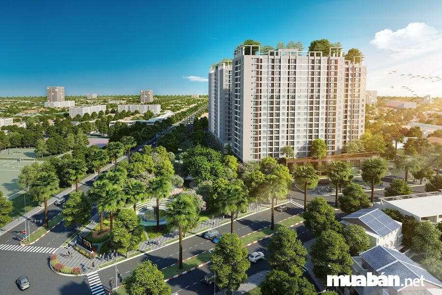 Dự án Tara Residence có nhiều ưu điểm khiến khách hàng mê tít