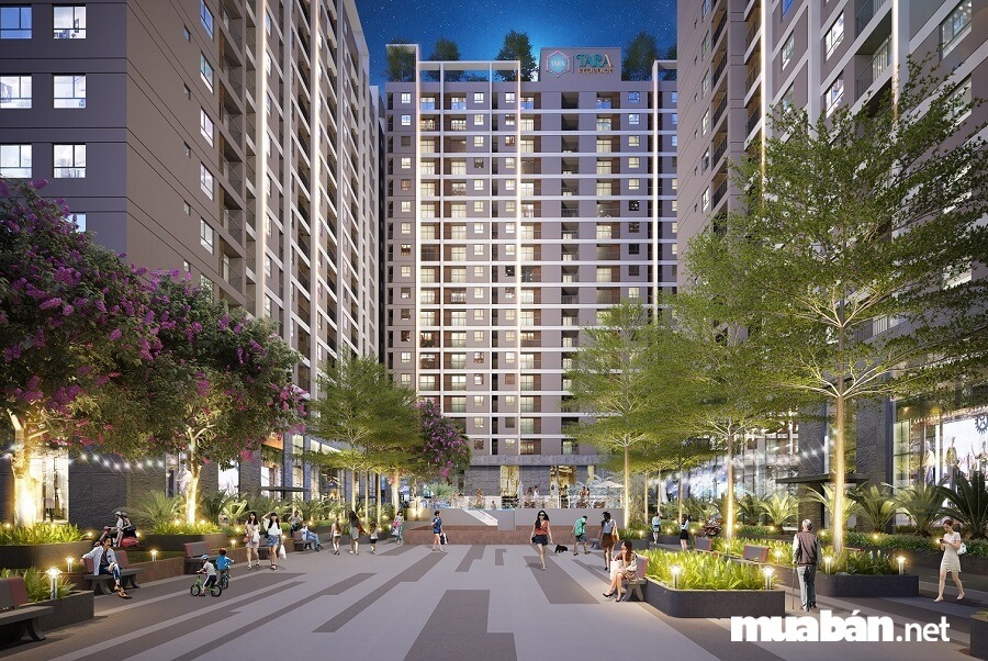 Dự án được xây dựng trên diện tích đất 6.169,0 m² với nhiều mảng xanh tiện ích