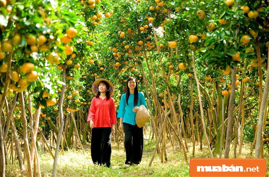 Việc Làm Gia Công Tại Nhà Ở Bến Tre Với 4 Mẹo Này 2 Việc Làm Gia Công Tại Nhà Ở Bến Tre