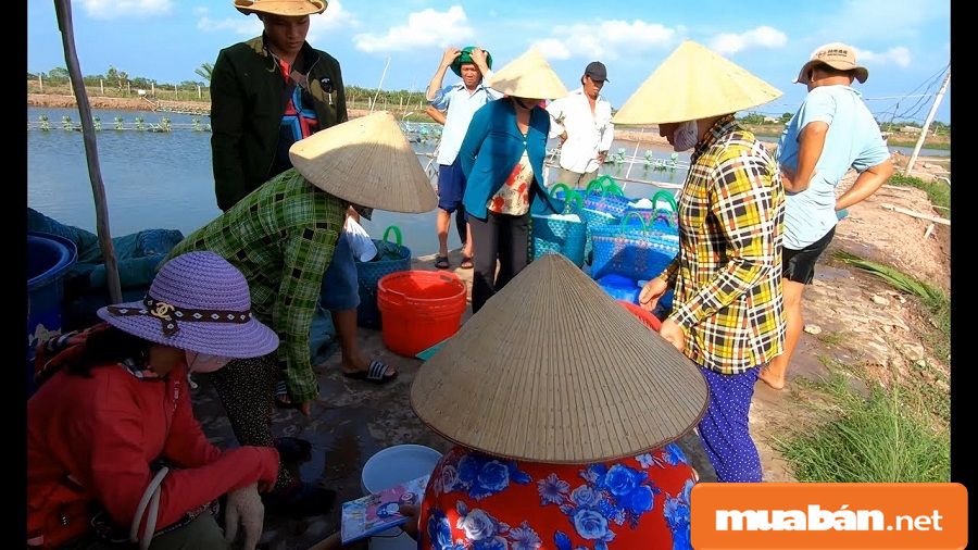 Việc Làm Gia Công Tại Nhà Ở Bến Tre Với 4 Mẹo Này 4 Việc Làm Gia Công Công Tại Nhà Ở Bến Tre