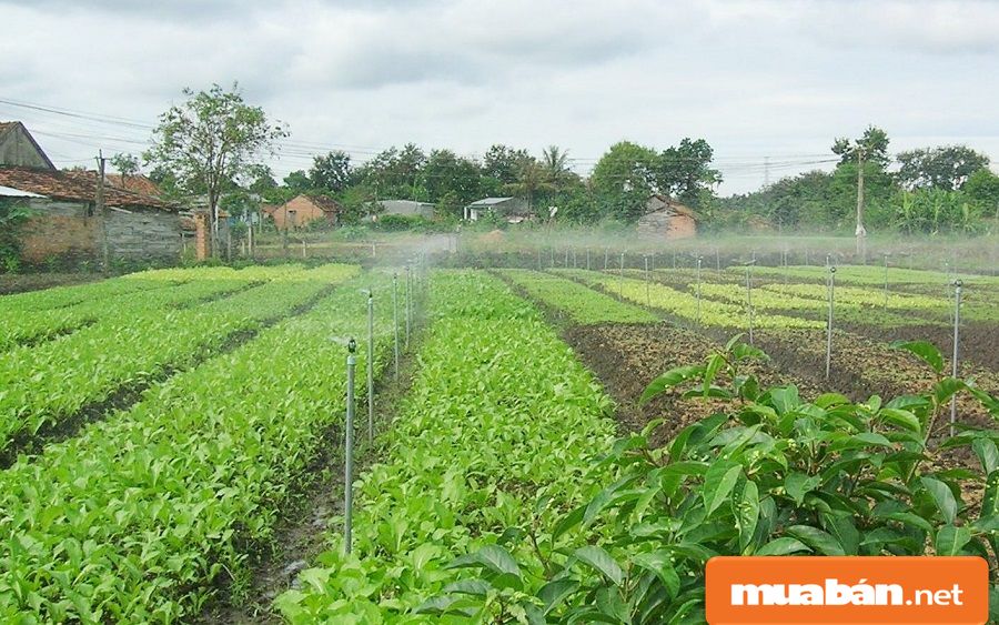Hóc Môn tuyển dụng