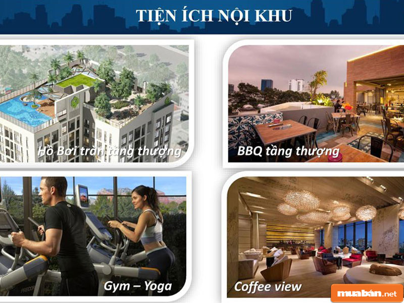 Newton Residence Trương Quốc Dung: Sức Hút Đến Từ Đâu? 5 Newton 3