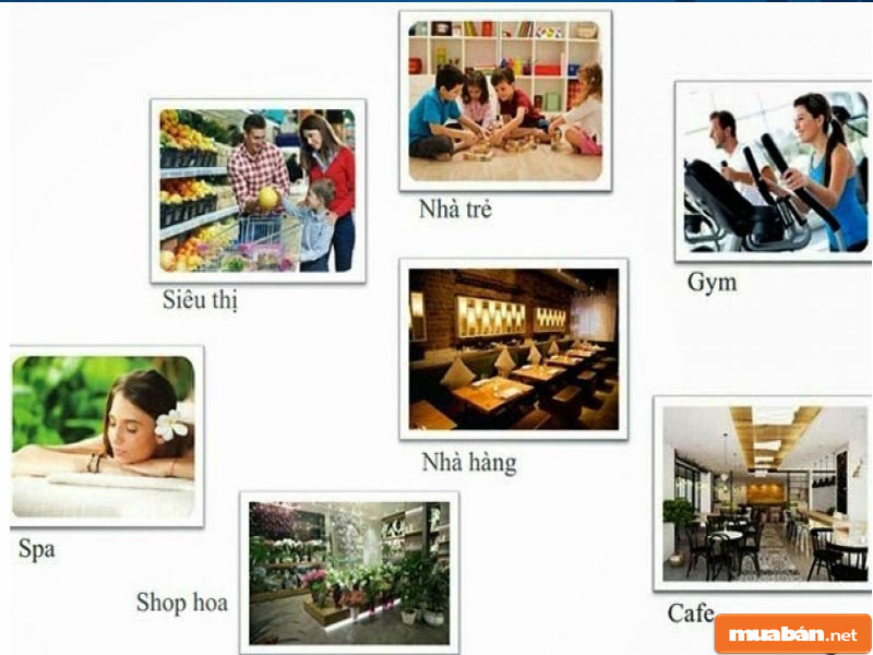 Newton Residence Trương Quốc Dung: Sức Hút Đến Từ Đâu? 6 Newton 5