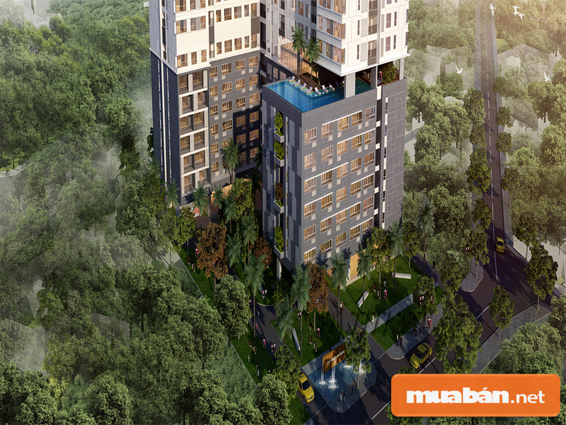 Dự án thuộc lá phổi xanh tươi của thành phố