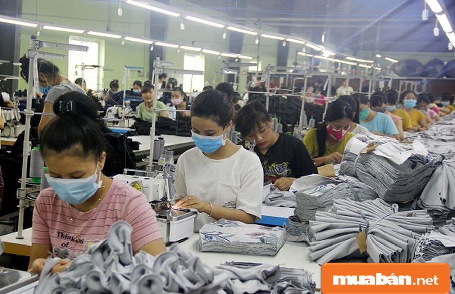 Việc Làm Thêm Cho Sinh Viên Tại Biên Hòa Với 5 Công Việc Hấp Dẫn Nhất 9 Vào Các Dịp Hè, Hoặc Vào Vụ Cuối Năm Thì Bạn Có Thể Làm Thêm Tại Các Xưởng May.