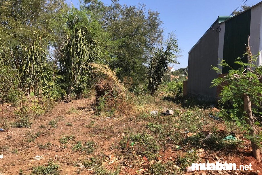 Những Điều Có Thể Bạn Chưa Biết Về Bất Động Sản Sơn Tây 2019 3 Mới Đây, Hà Nội Đã Đưa Ra Bảng Giá Nhà Đất Tại Thị Xã Sơn Tây Kèm Theo Các Quyết Định Liên Quan.