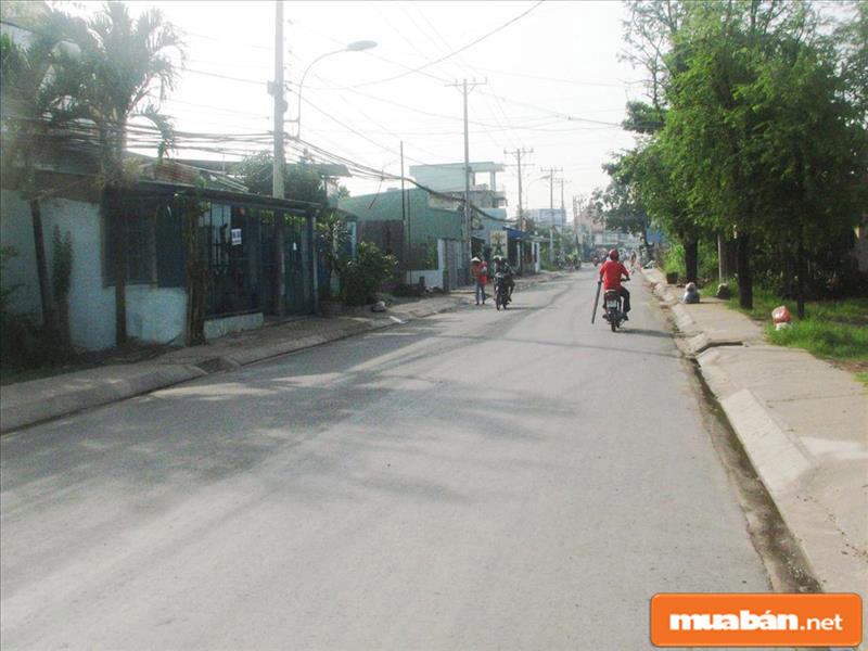 Đất Gần Chợ Bình Chánh Là Nơi Tập Trung Dân Cư Đông Đất Gần Chợ Bình Chánh Là Nơi Tập Trung Dân Cư Đông